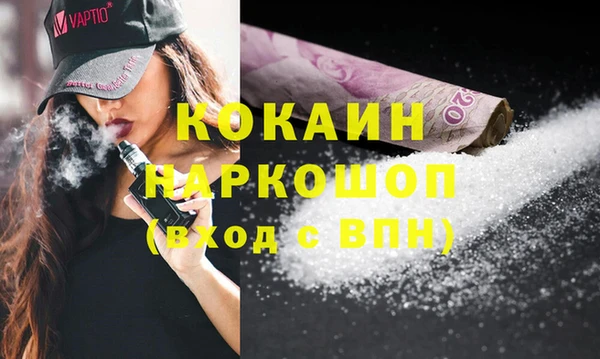 хмурый Арсеньев